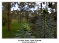 IMG_0123_RD