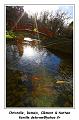 IMG_0157_RD