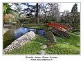 IMG_0158_RD