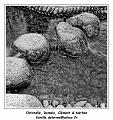 IMG_0159_RD