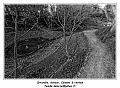 IMG_0163_RD