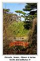 IMG_0164_RD
