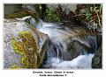 IMG_0167_RD