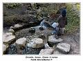 IMG_0174_RD