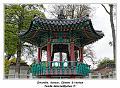 IMG_3237_RD