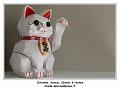 IMG_3337_RD