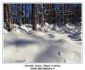 DSC04570_RD