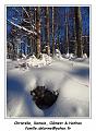 DSC04572_RD