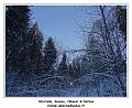 DSC04577_RD