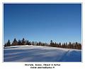 DSC04580_RD