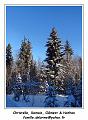 DSC04586_RD