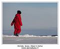 DSC04590_RD