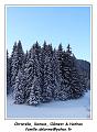 DSC04626_RD
