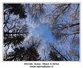 DSC04631_RD