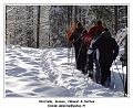 DSC04634_RD