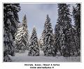 DSC04637_RD