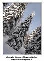 DSC04639_RD