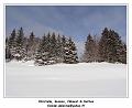 DSC04641_RD