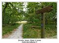 IMG_3149_RD