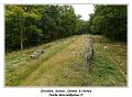 IMG_3151_RD