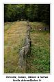 IMG_3152_RD