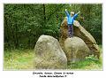 IMG_3176_RD
