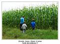 IMG_3185_RD