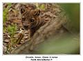 IMG_3397_RD