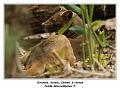 IMG_3399_RD