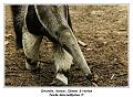 IMG_3418_RD