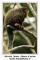 IMG_3427_RD