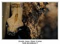 IMG_3442_RD