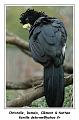 IMG_3450_RD