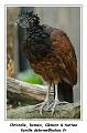 IMG_3453_RD