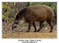 IMG_3458_RD