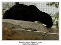 IMG_3463_RD