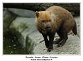 IMG_3467_RD