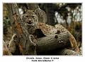 IMG_3473_RD