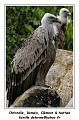 IMG_3481_RD