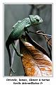 IMG_3489_RD