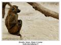 IMG_3493_RD