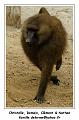 IMG_3497_RD