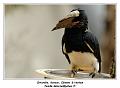 IMG_3499_RD