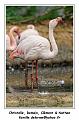 IMG_3507_RD