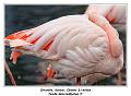 IMG_3509_RD
