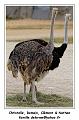 IMG_3518_RD
