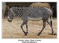 IMG_3530_RD