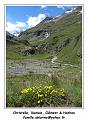 DSC05629_RD