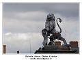 IMG_6928_RD