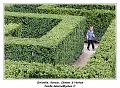 IMG_6959_RD